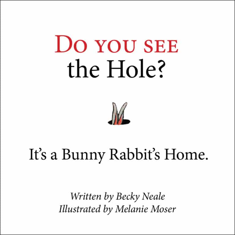 Do You See The Hole